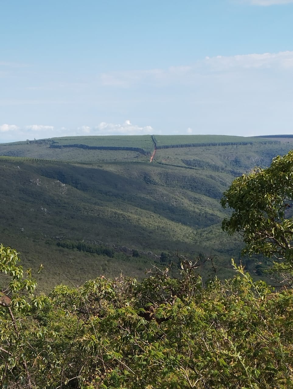 Website Image