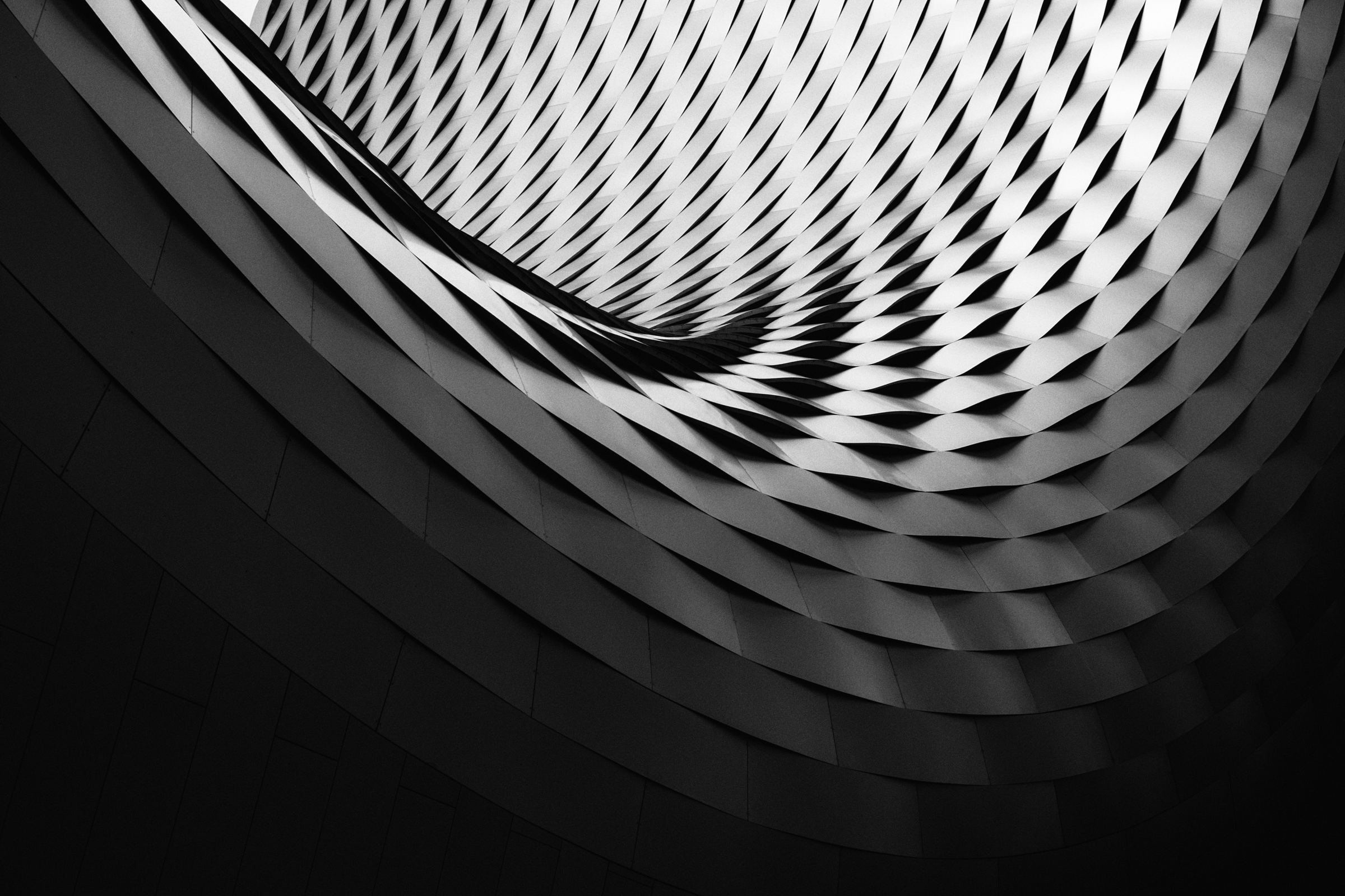 Website Image
