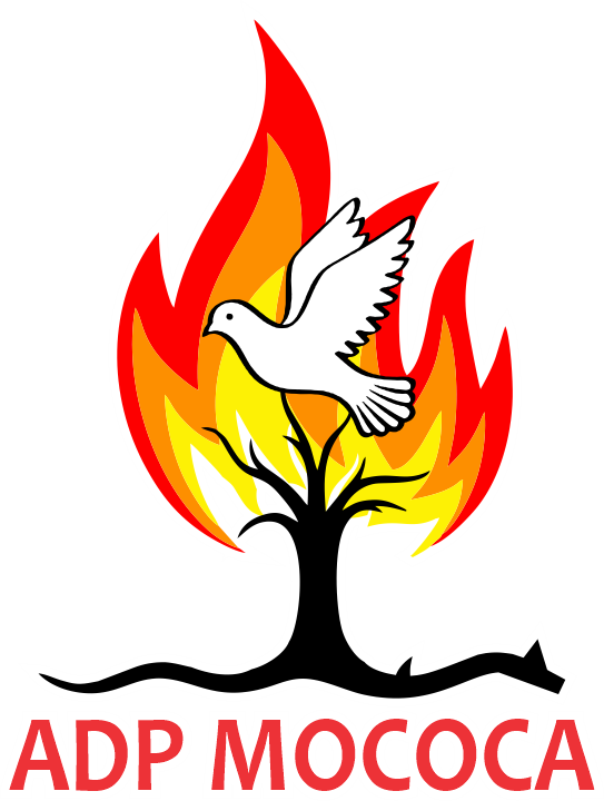 Website Image