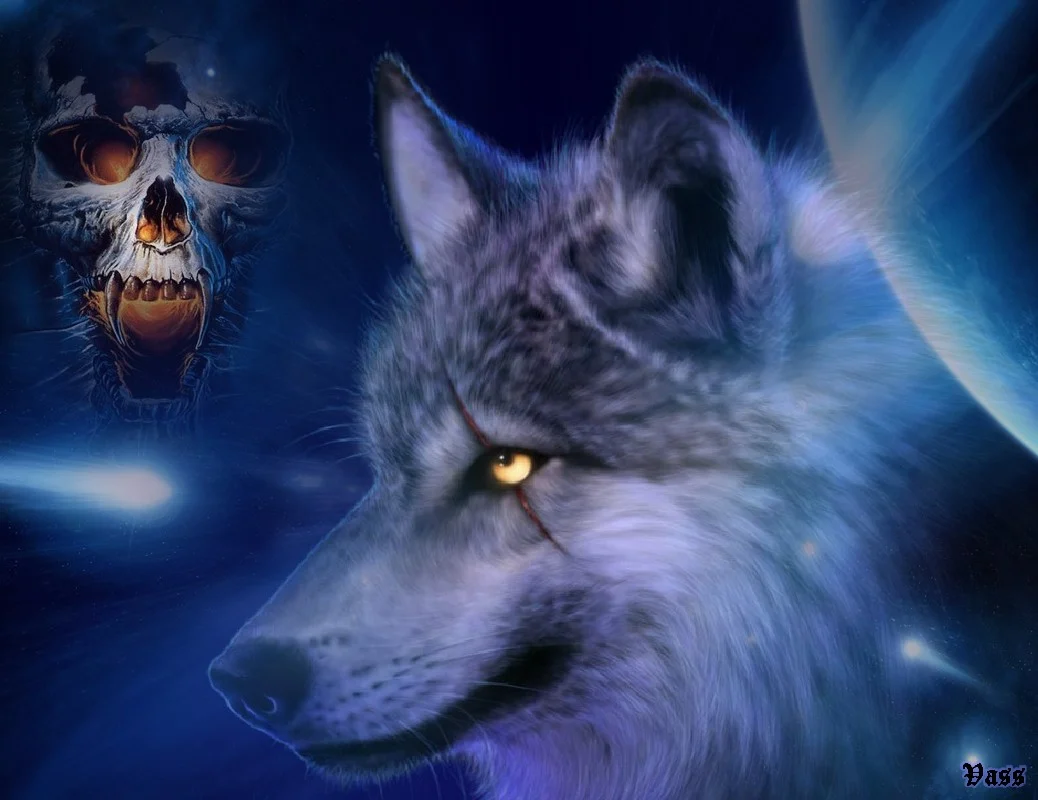 Website Image