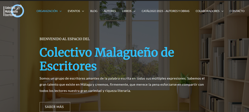 Website Image