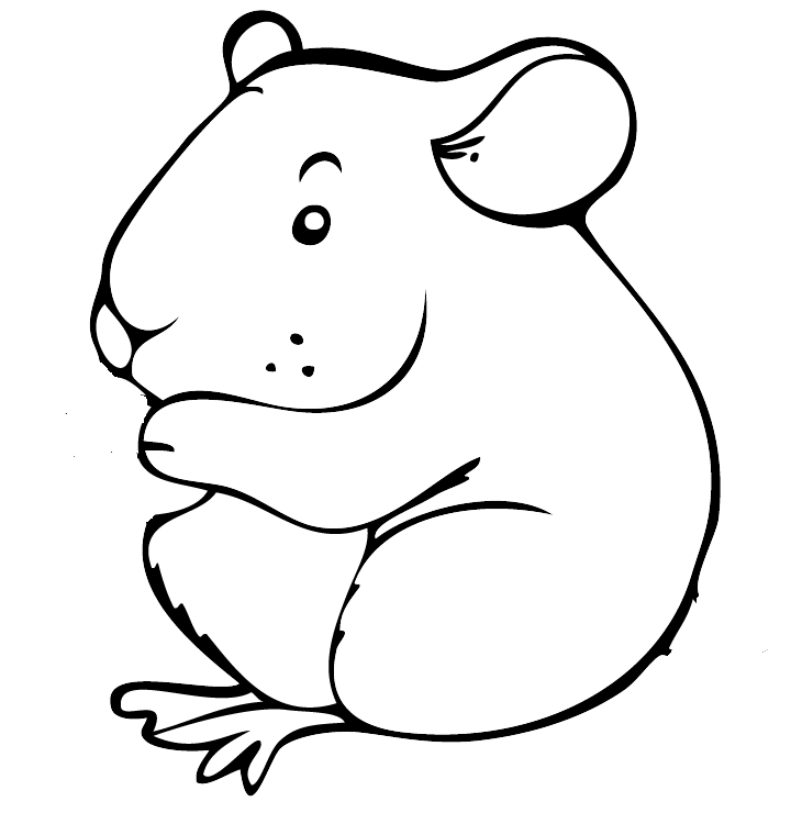 Website Image