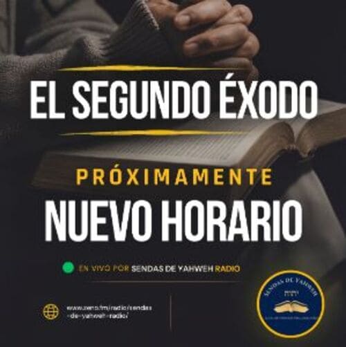 Website preview