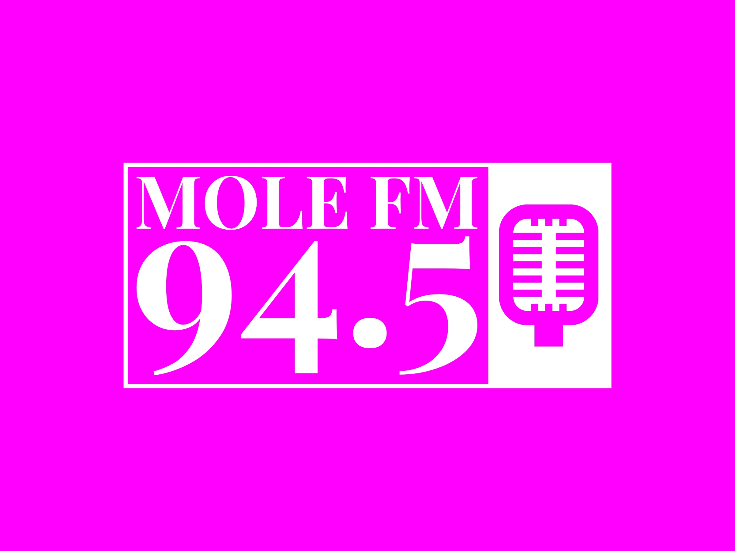 Website Image
