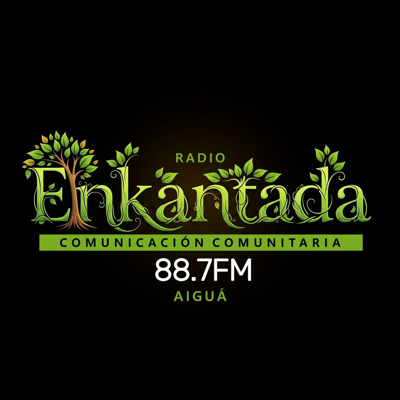 Website Image