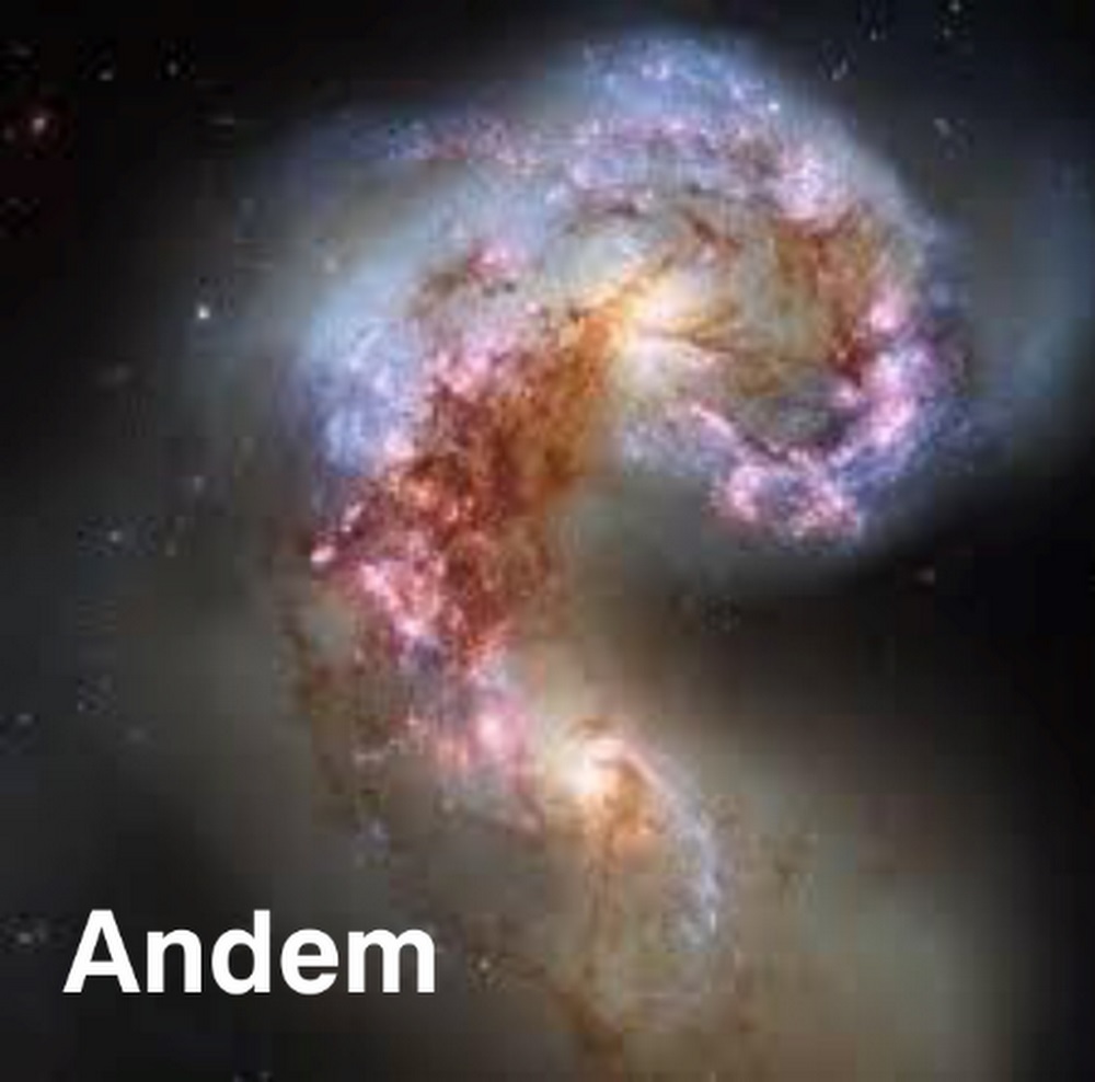 Website Image
