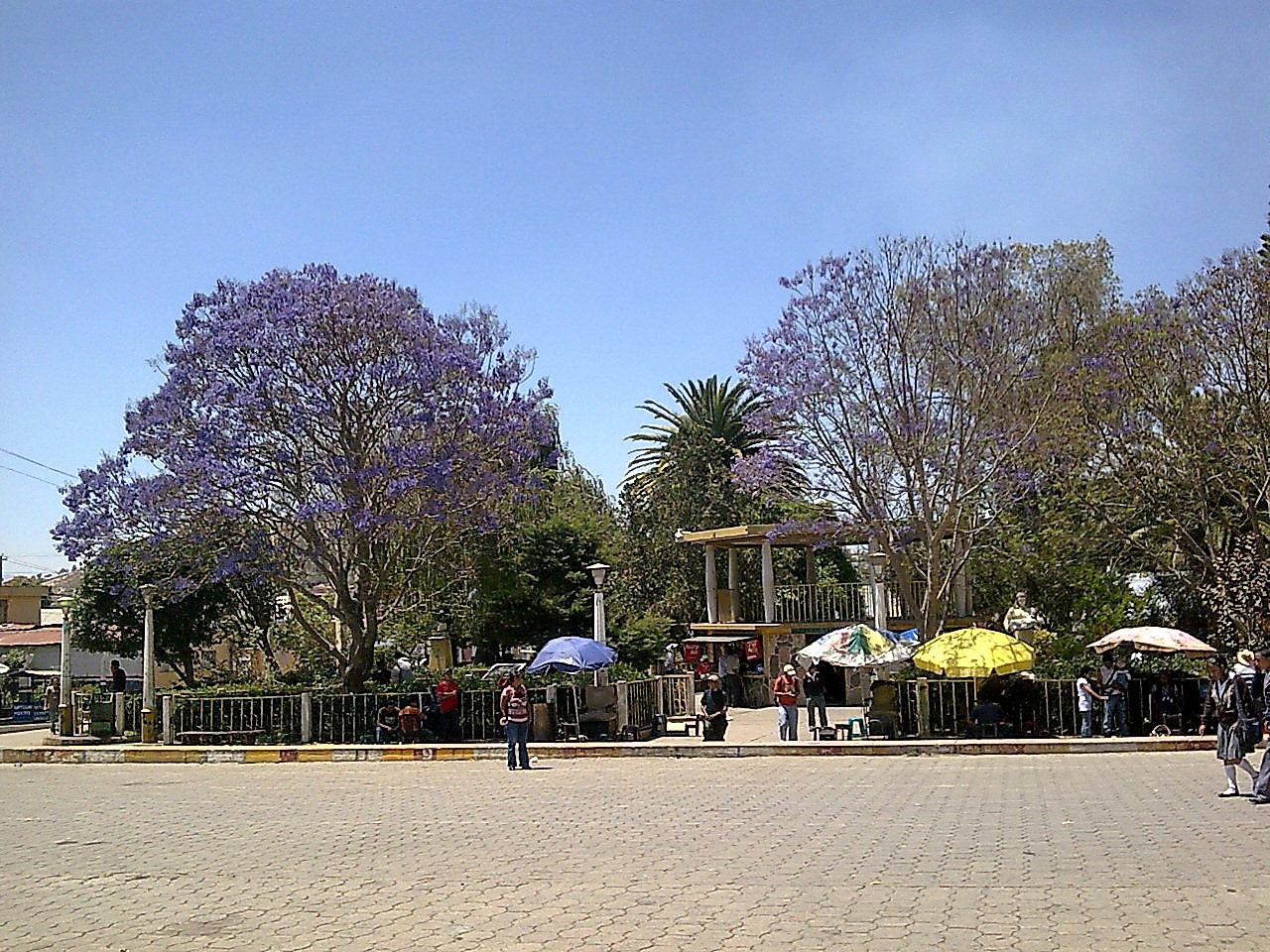 Website Image