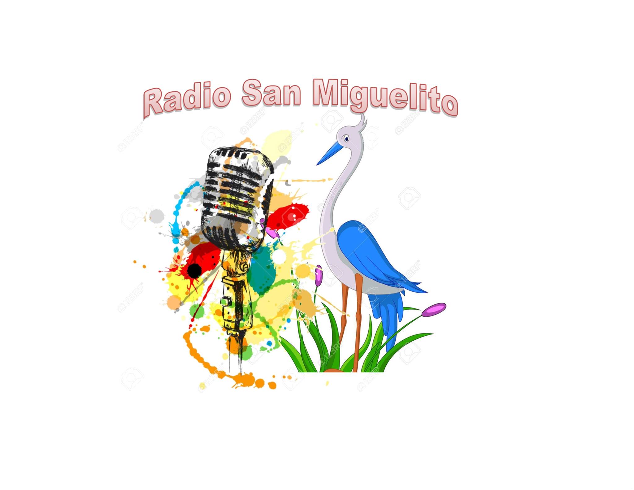 Website Image