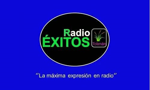 Website Image
