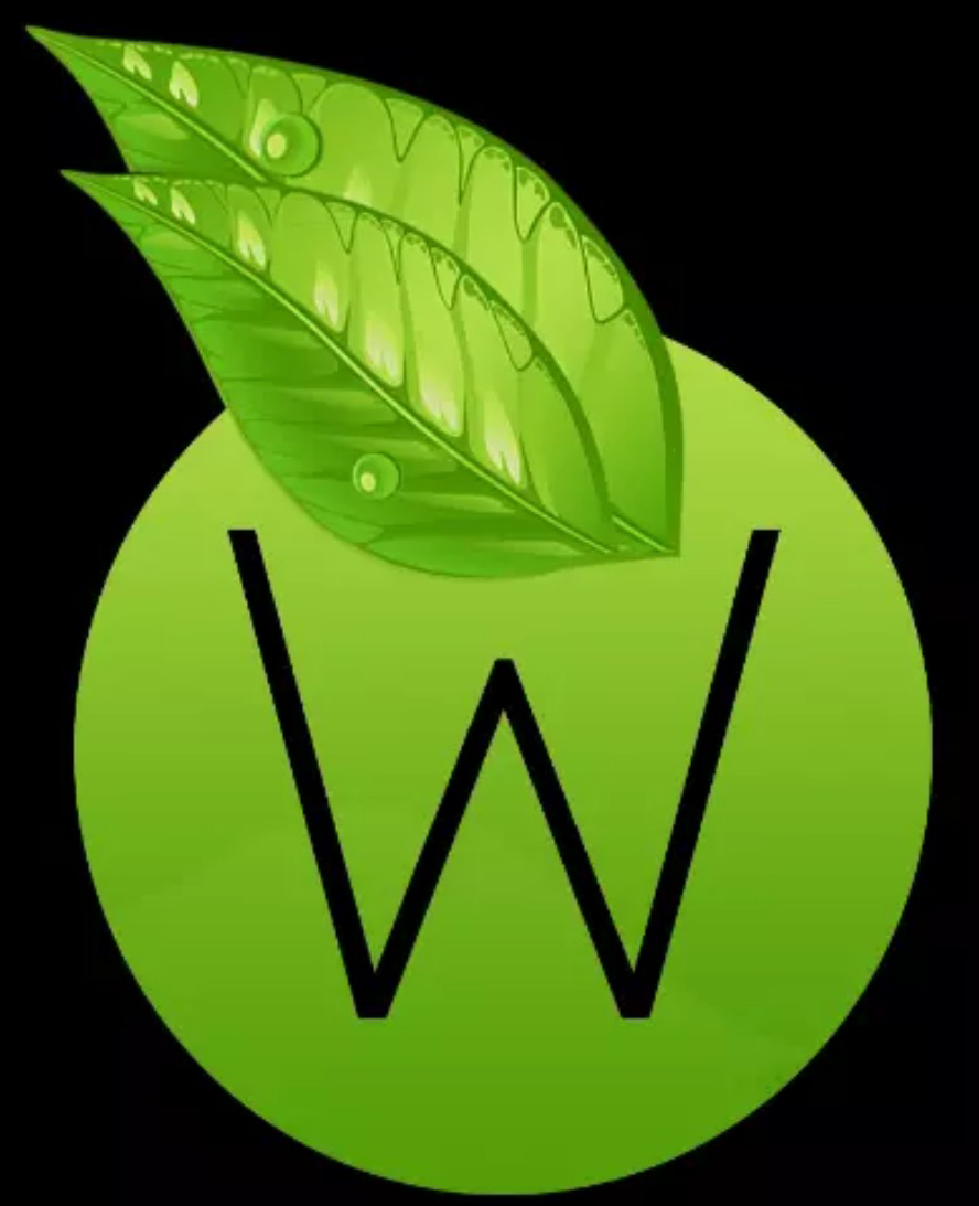 Website Image