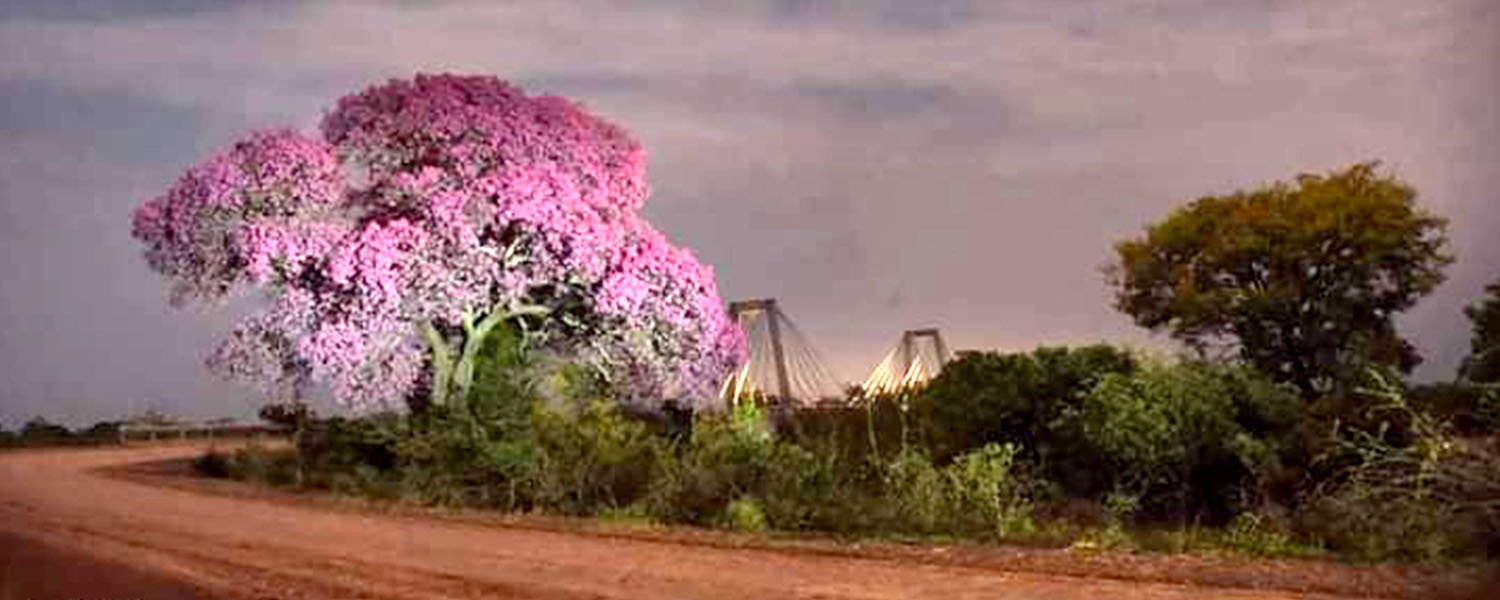 Website Image