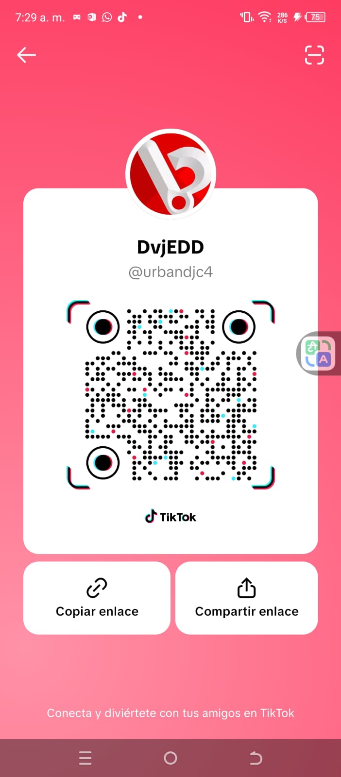 Website preview