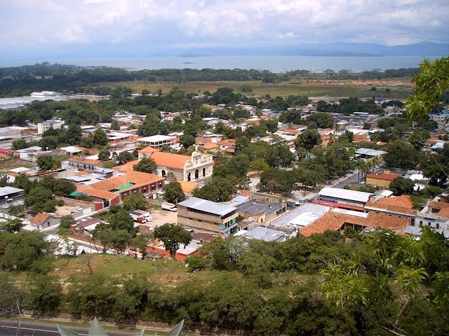 Website Image