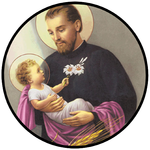 Website Image