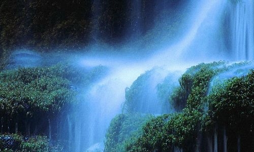 Website Image