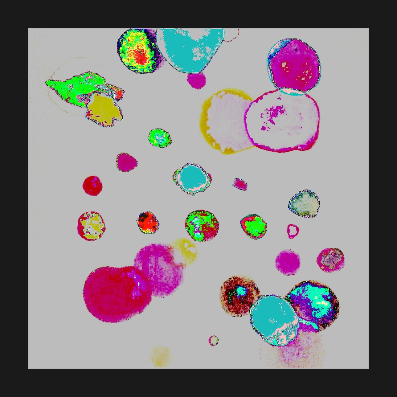 Website Image