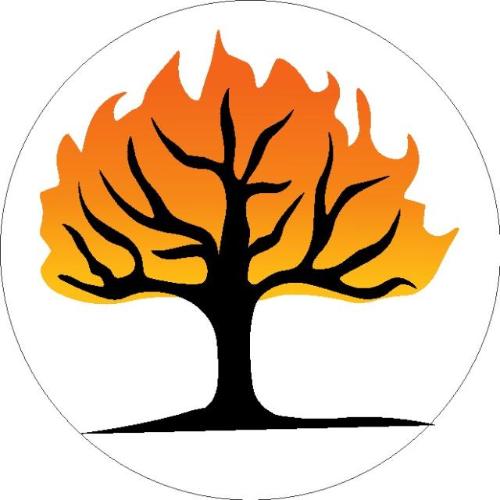 Website Image