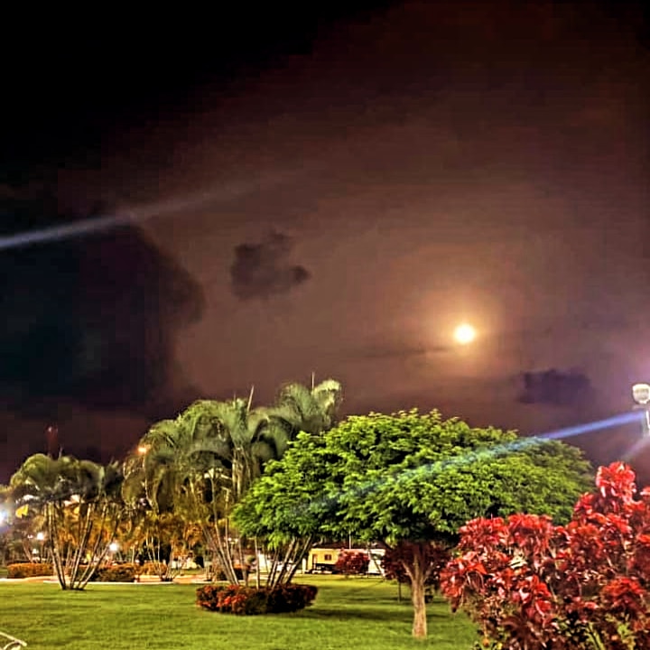 Website Image