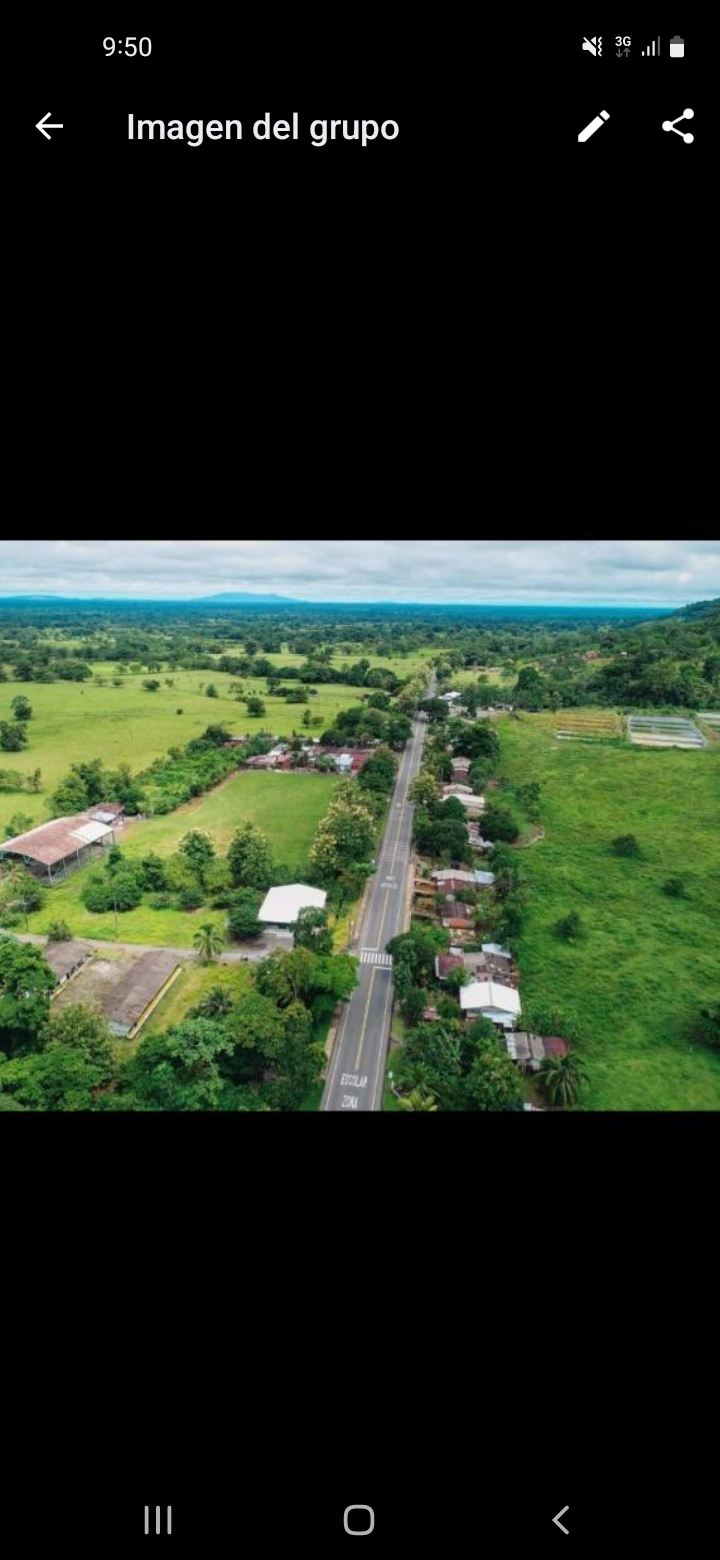 Website Image