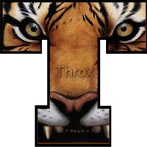 Website Image