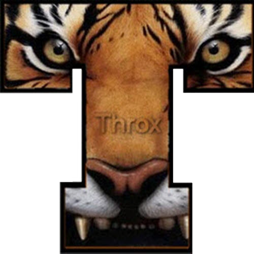 Website Image