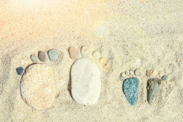 Website Image