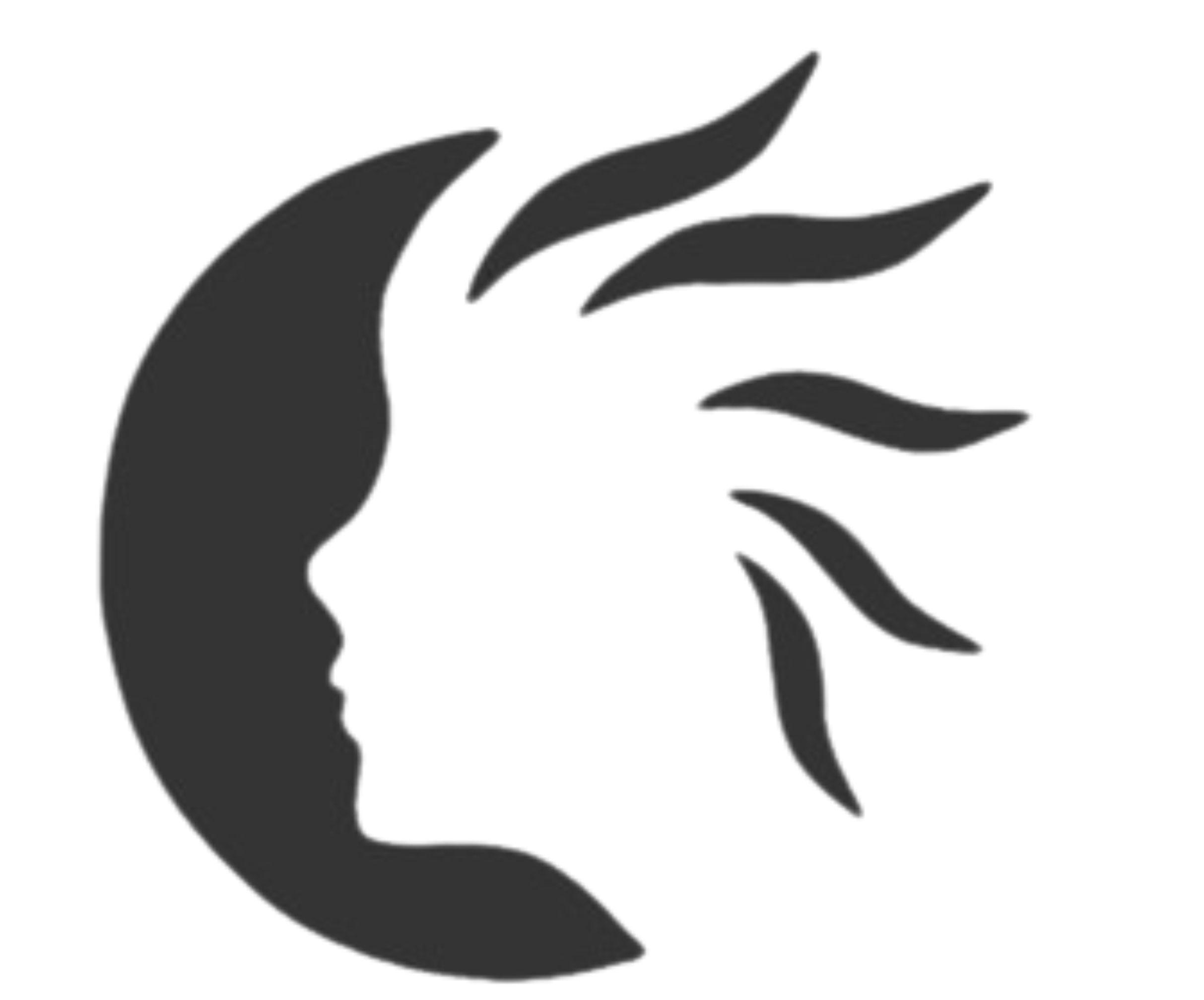 Website Image