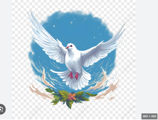 Website Image