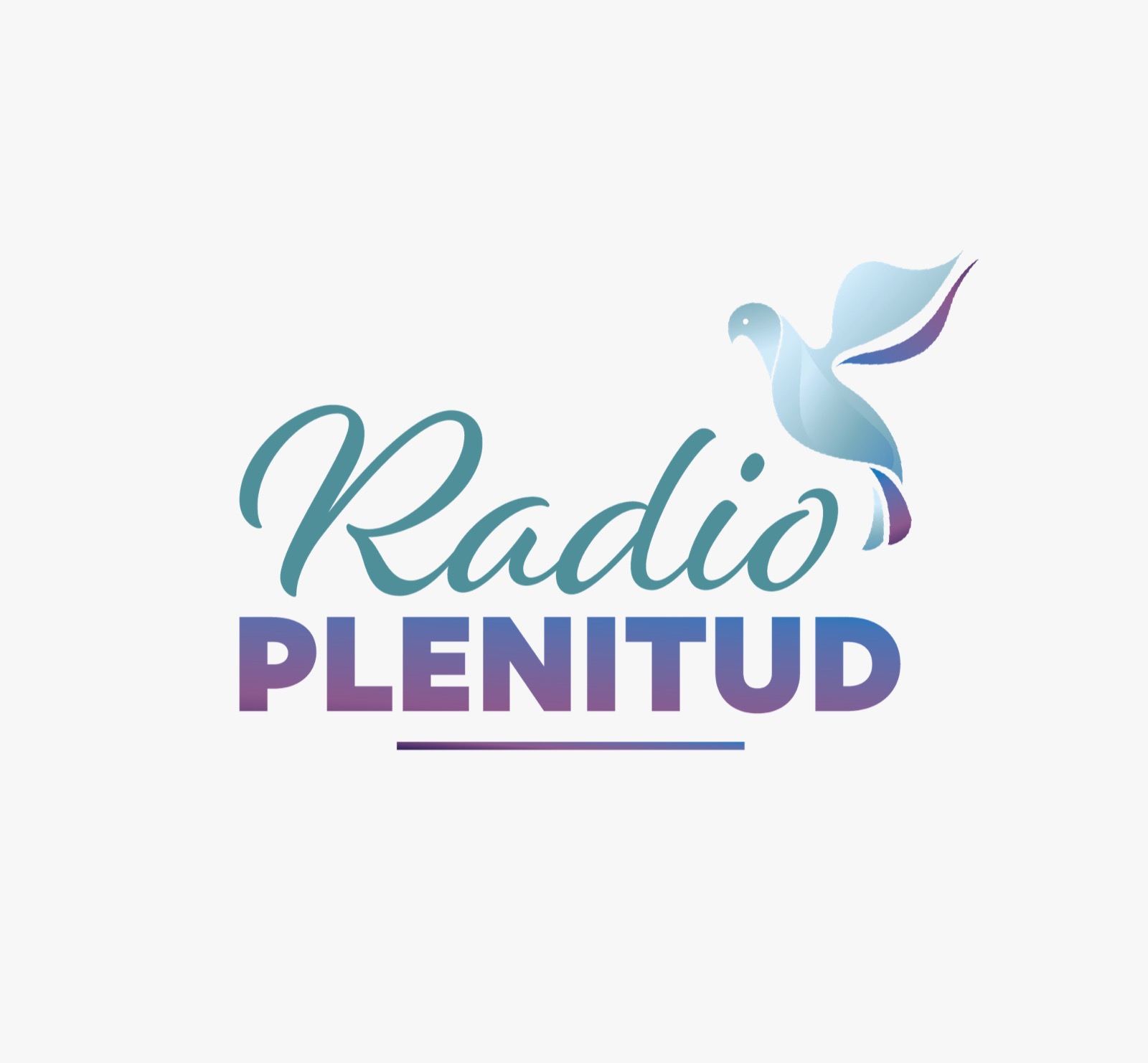 Website Image
