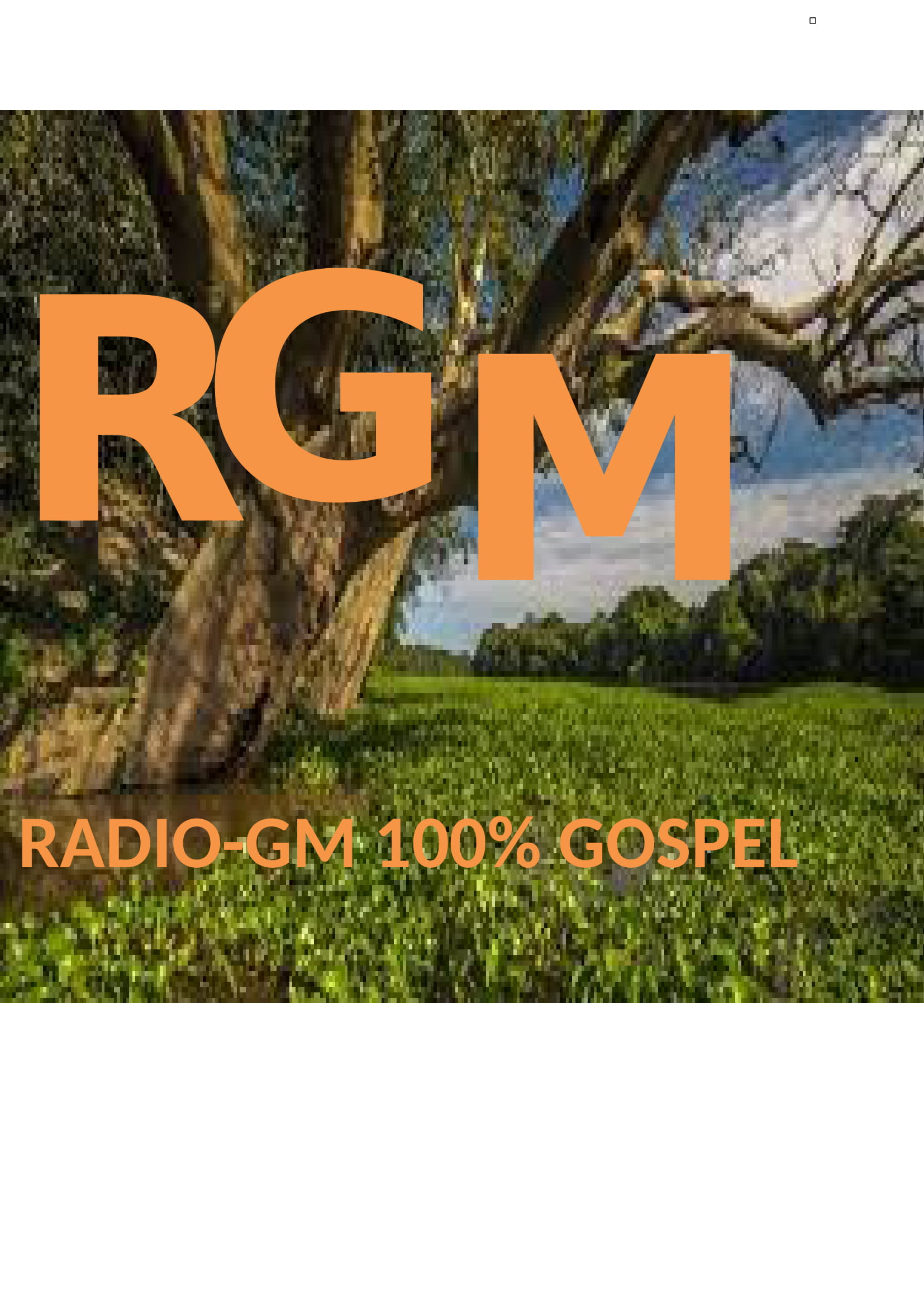 Website Image