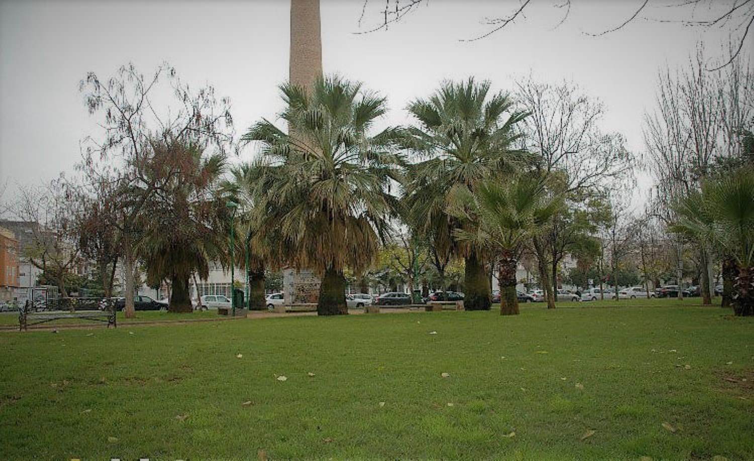 Website Image