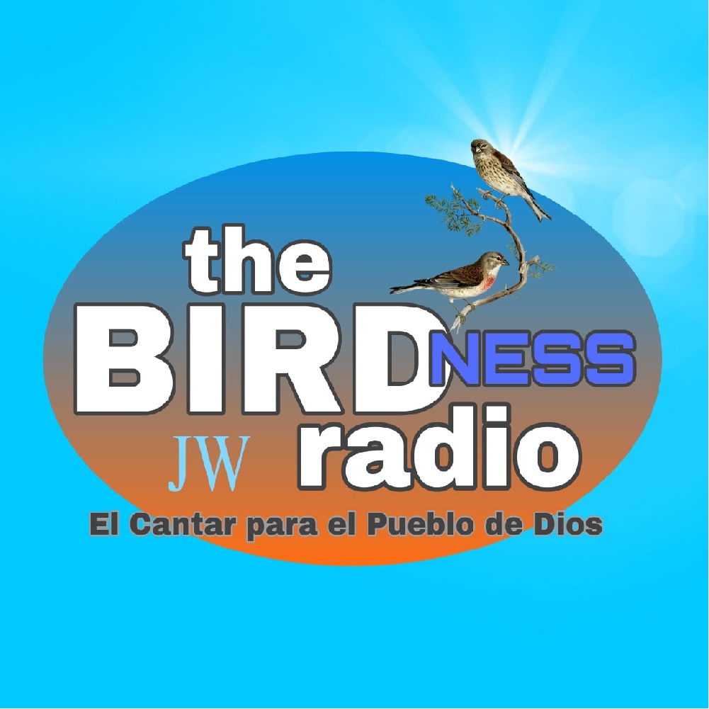 Website Image