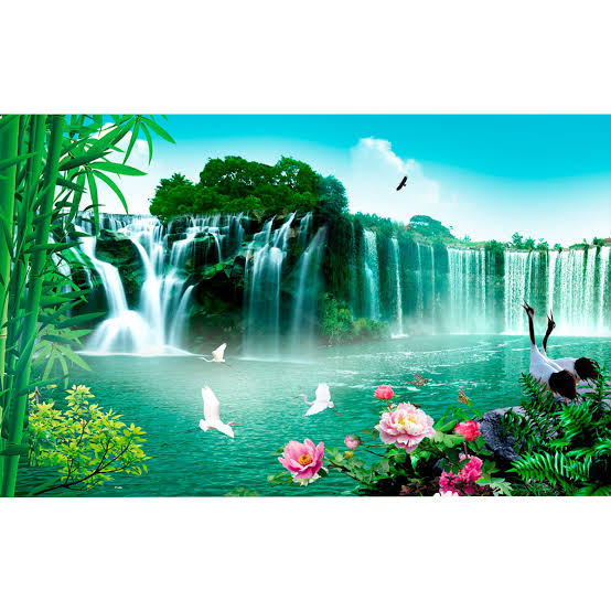 Website Image