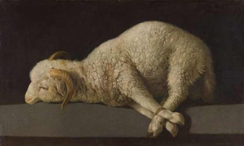 Website Image
