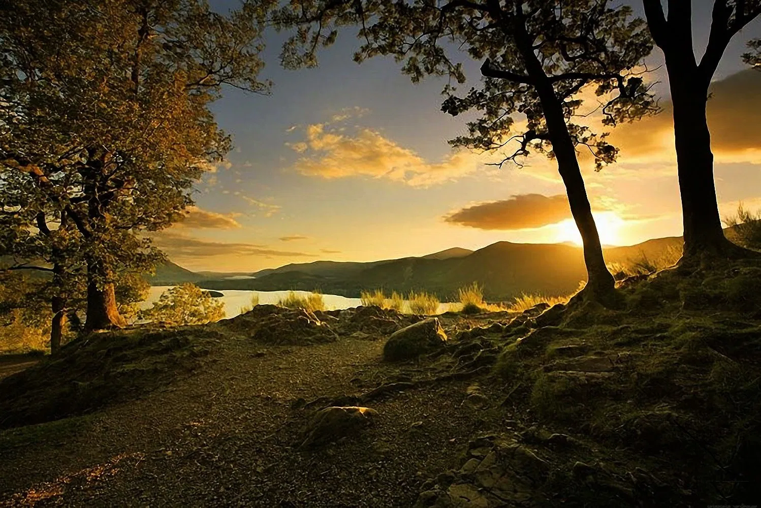 Website Image