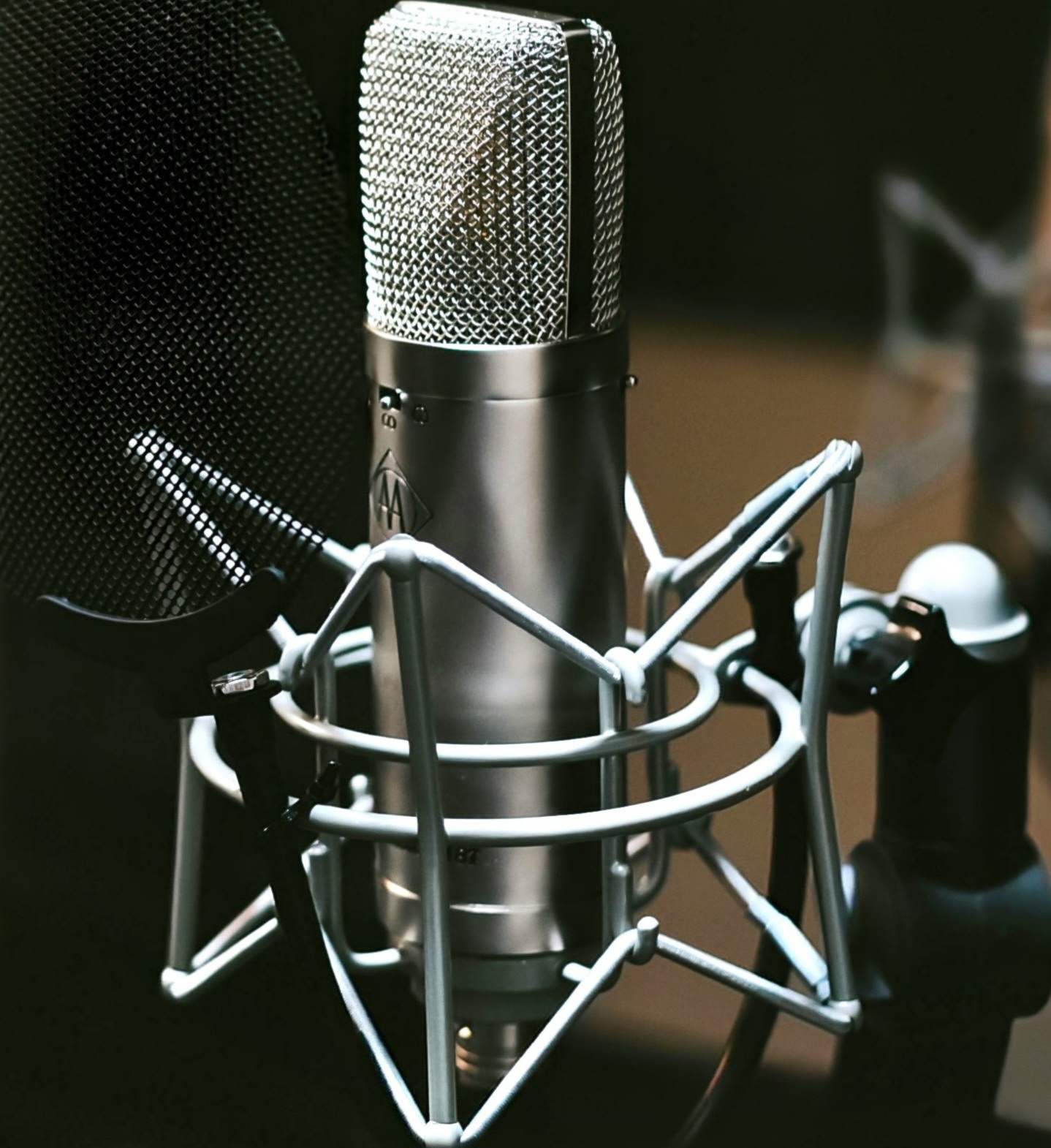 Website Image
