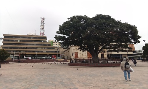 Website Image