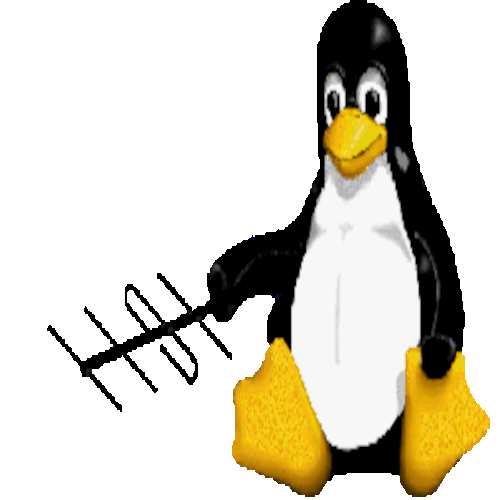 Website Image