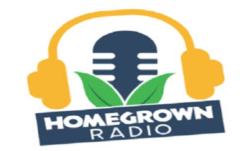 Website Image