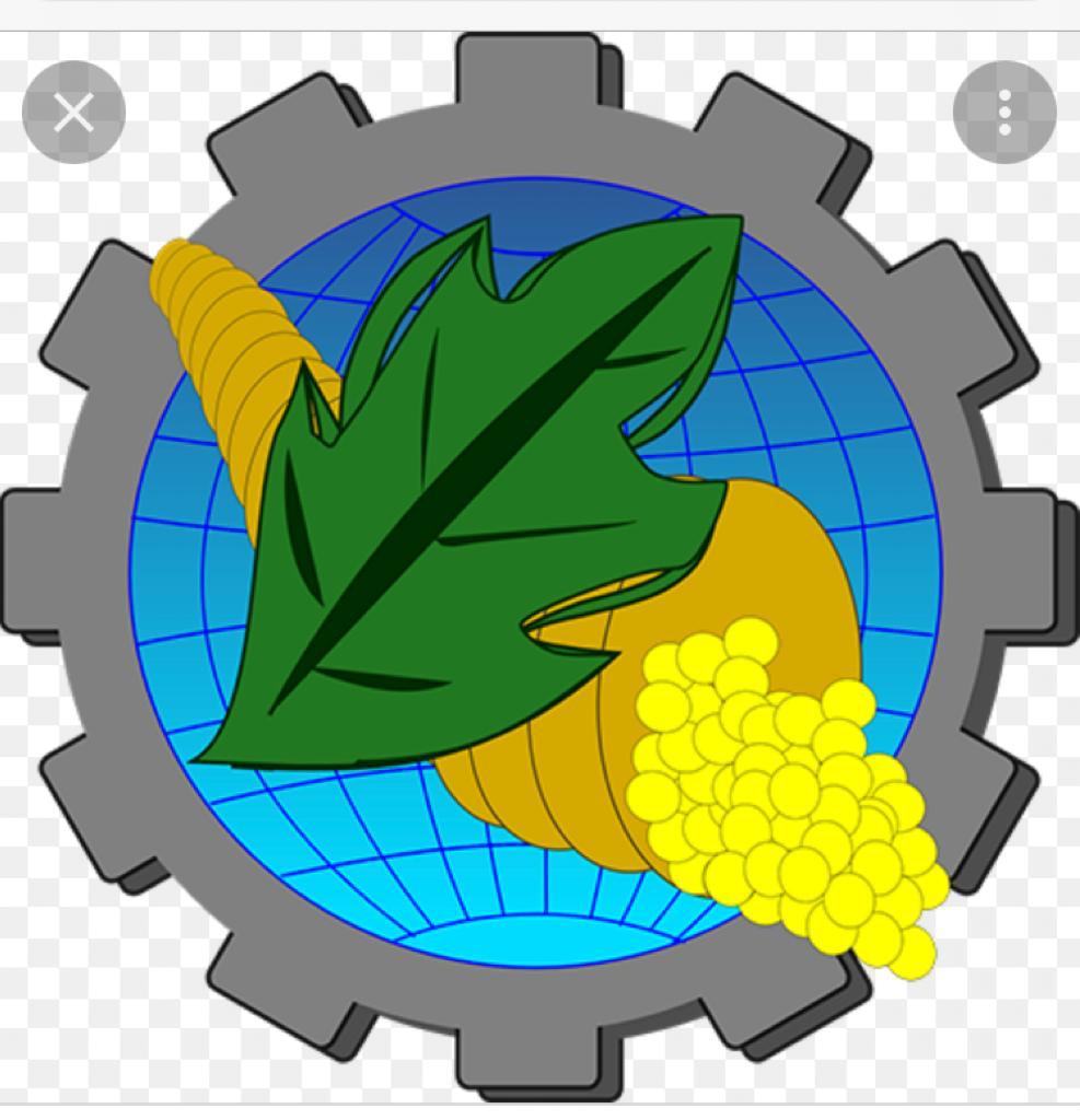 Website Image