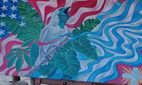 Website Image