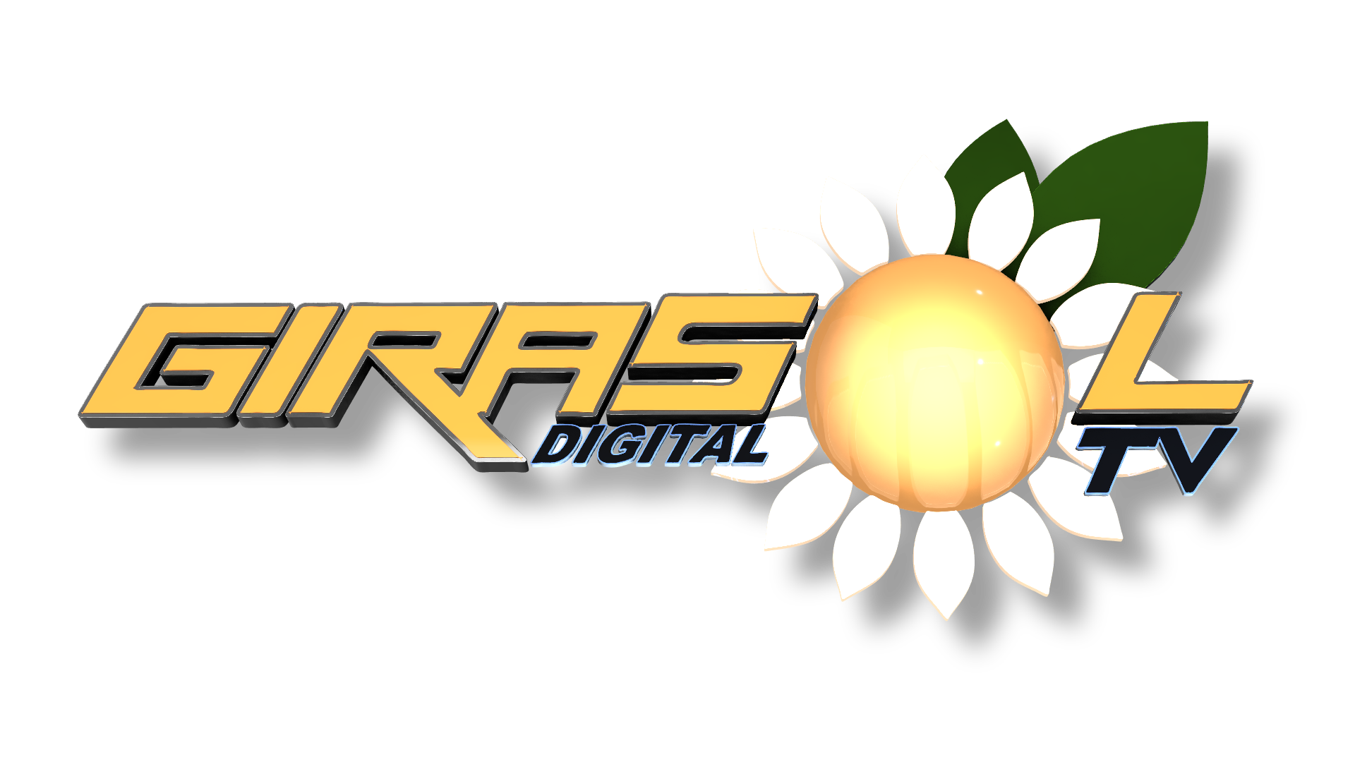 Website Image