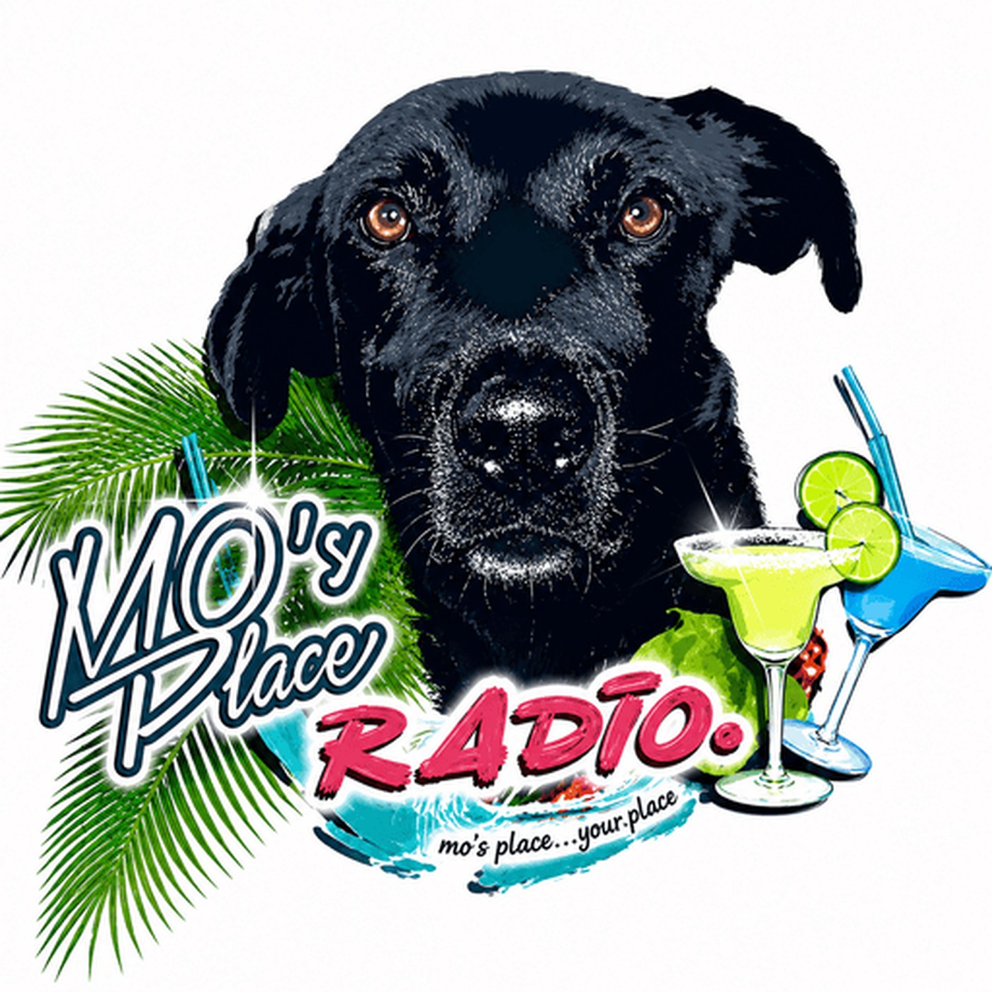 Website Image