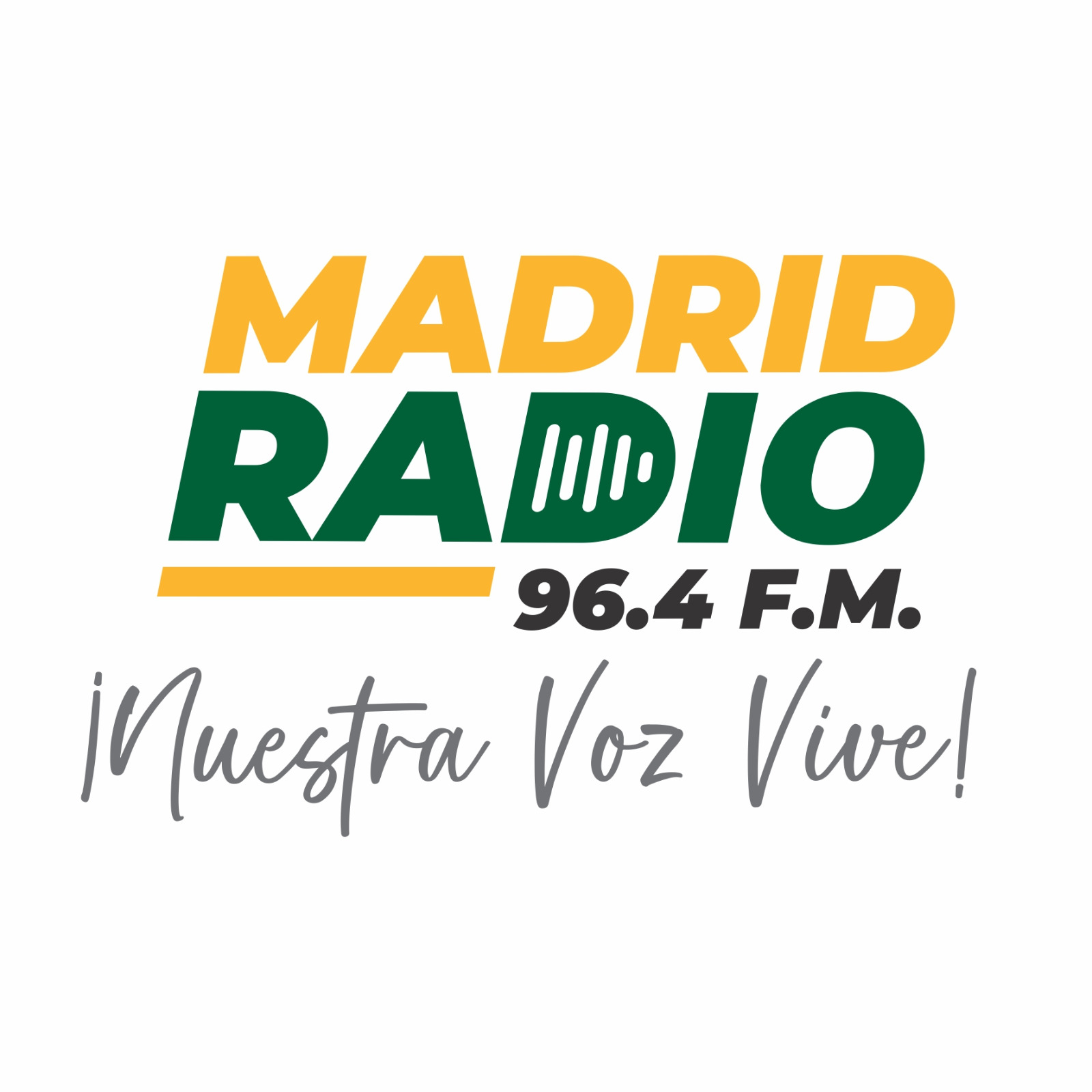 Website Image