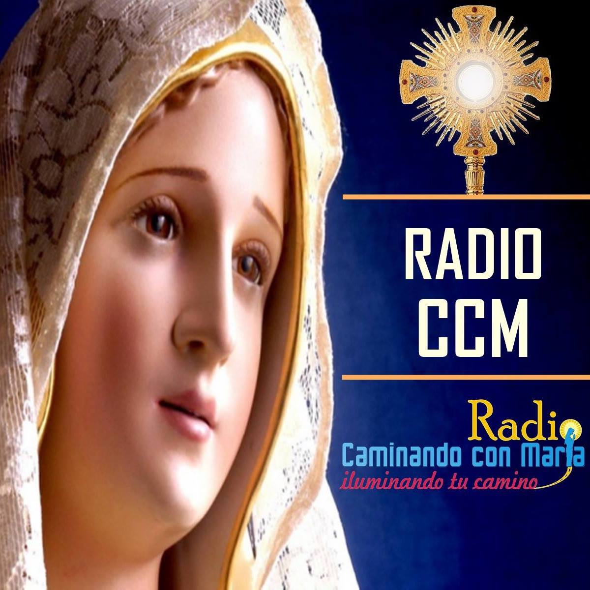 Website Image