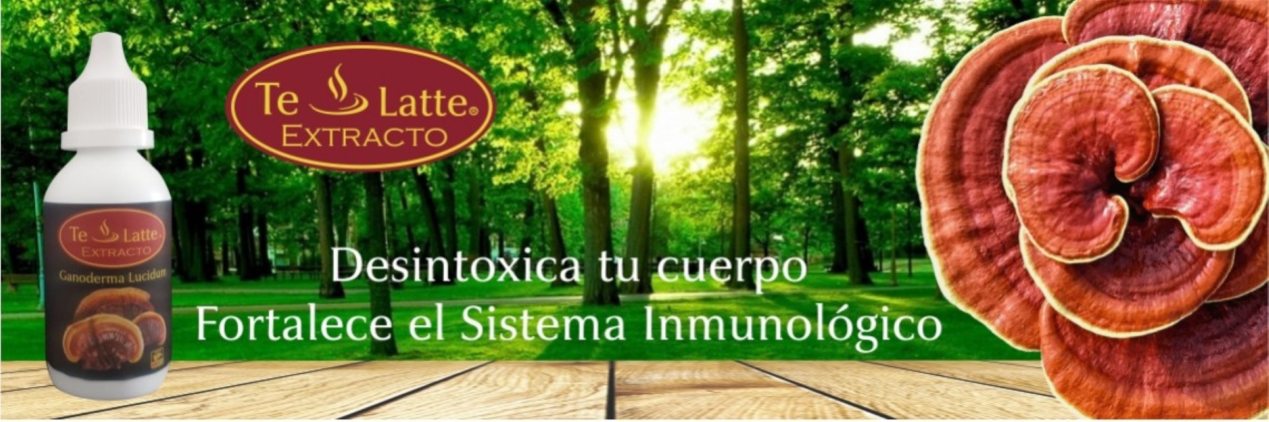 Website Image