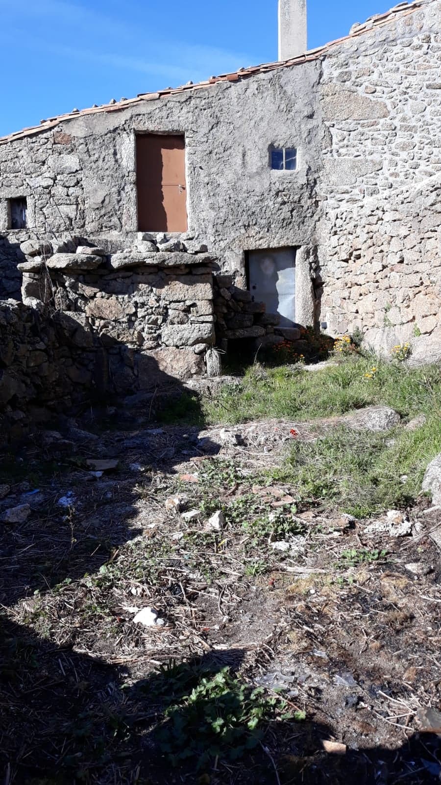 Website Image