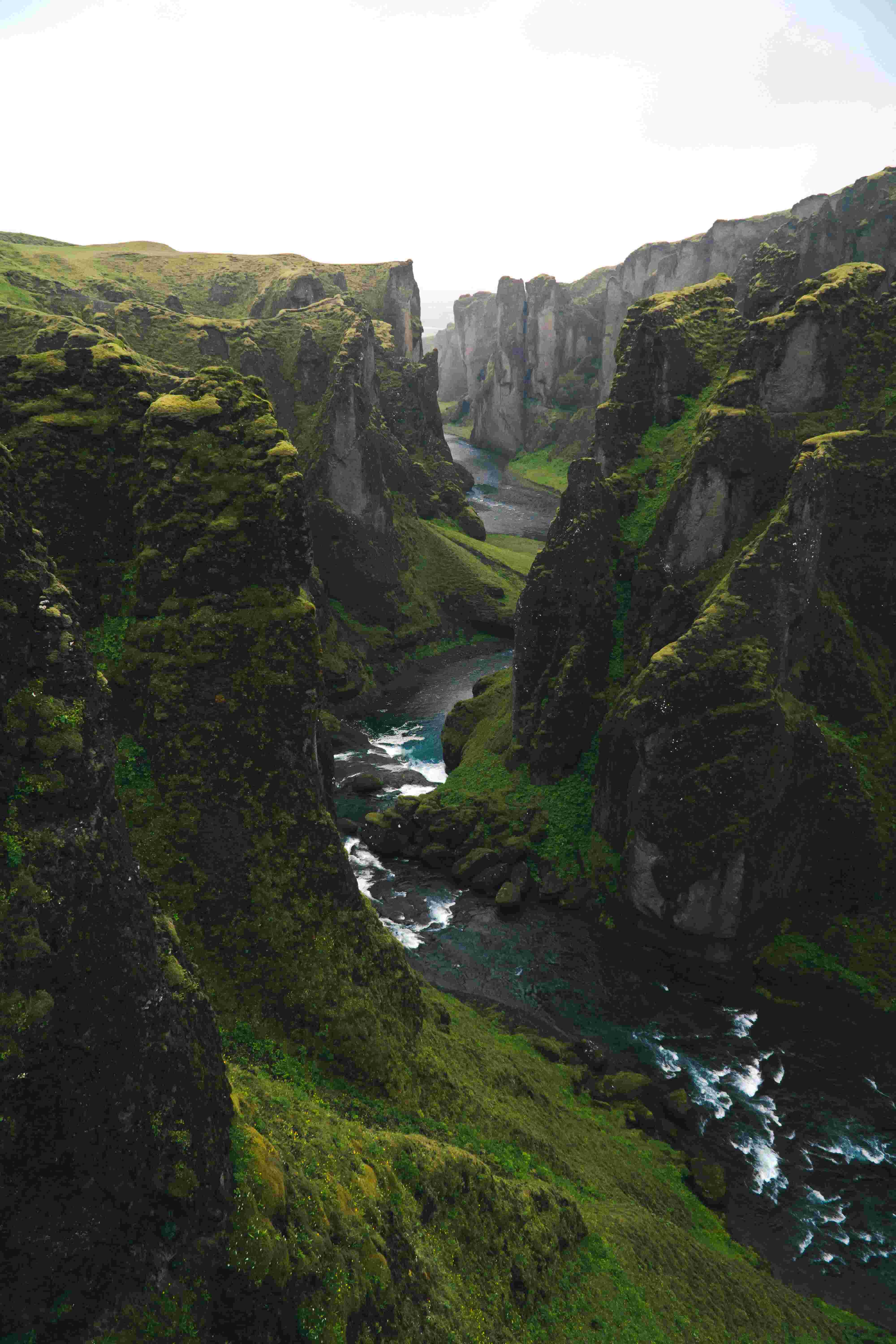 Website Image