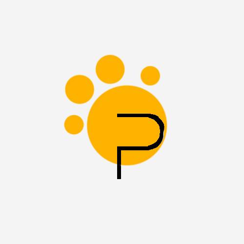 Website Image