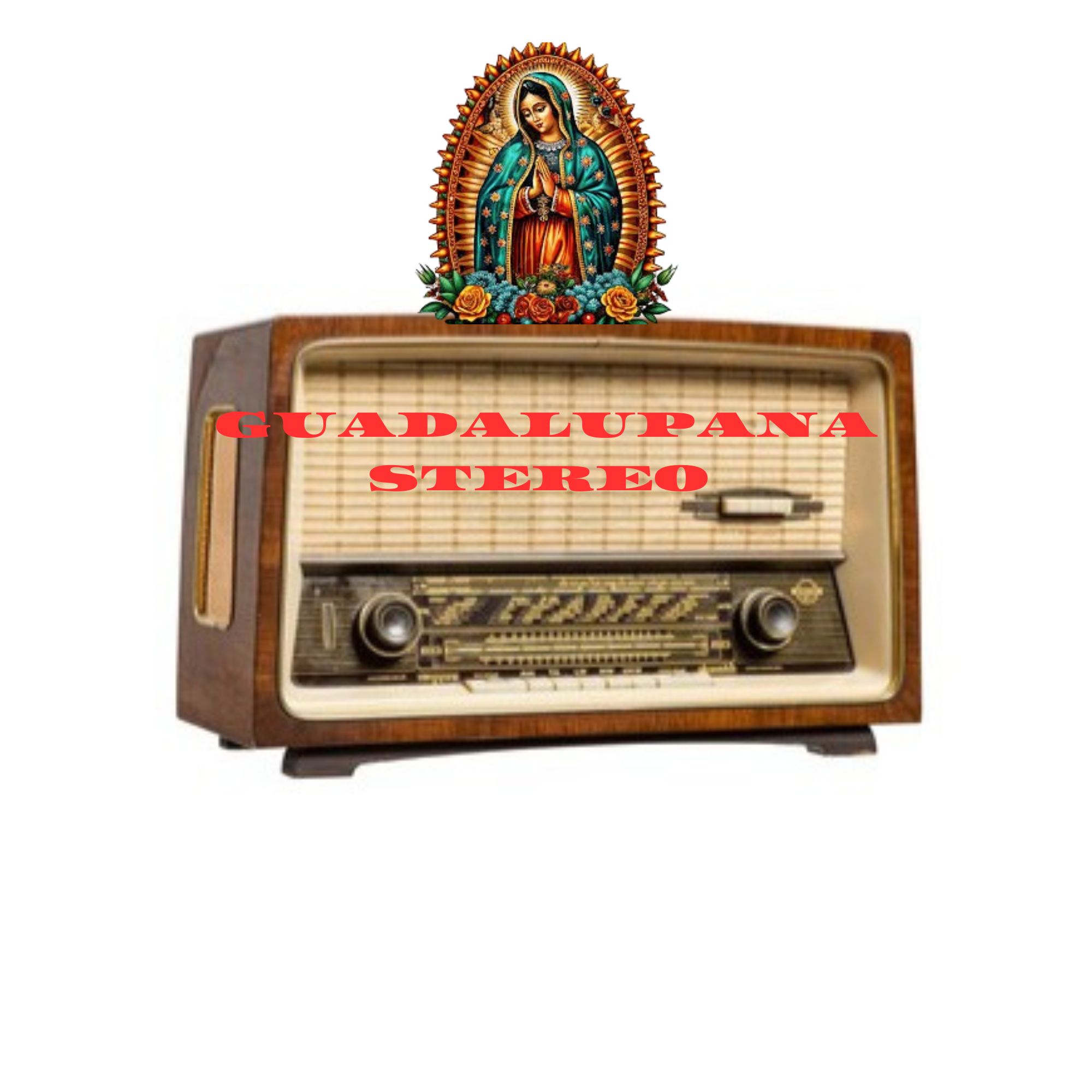 Website Image